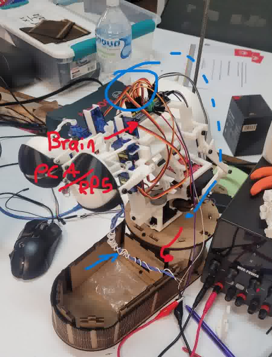 Imagen de prueba